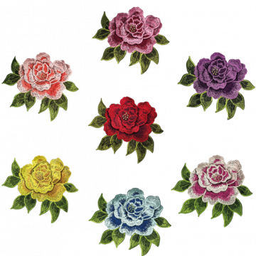 ROSA INDIVIDUAL 